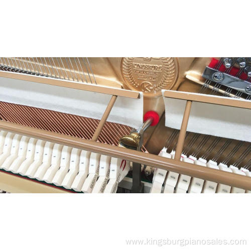 Special customized piano for sale